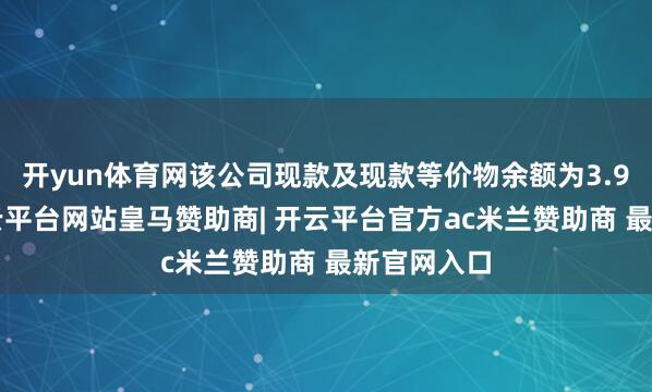 开yun体育网该公司现款及现款等价物余额为3.92亿元-开云平台网站皇马赞助商| 开云平台官方ac米兰赞助商 最新官网入口
