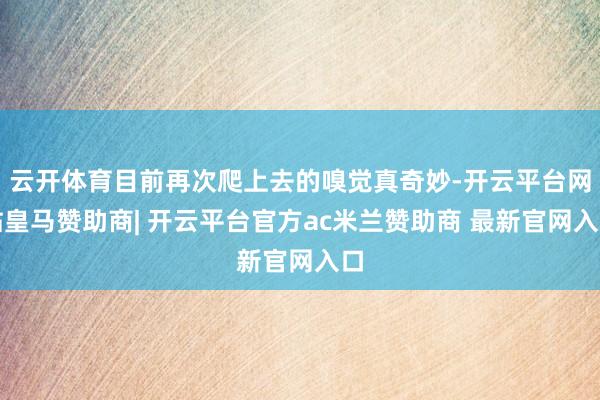 云开体育目前再次爬上去的嗅觉真奇妙-开云平台网站皇马赞助商| 开云平台官方ac米兰赞助商 最新官网入口
